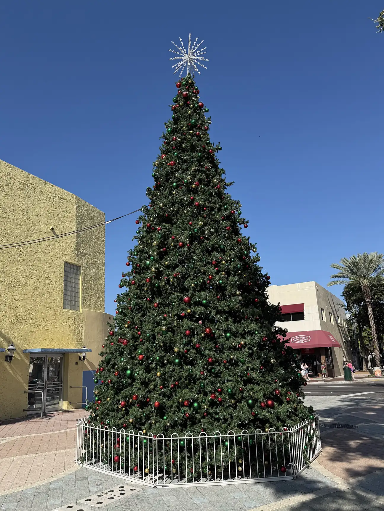 A Christmas tree on Calle Ocho in Little Havana.