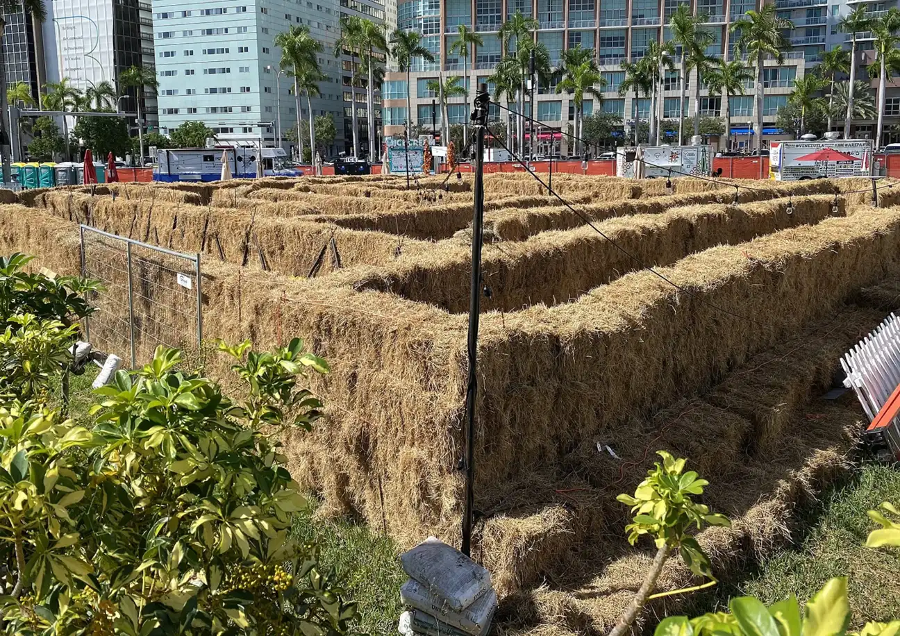 A hay maze set up on the lawn of Bayfront Park in downtown Miami.