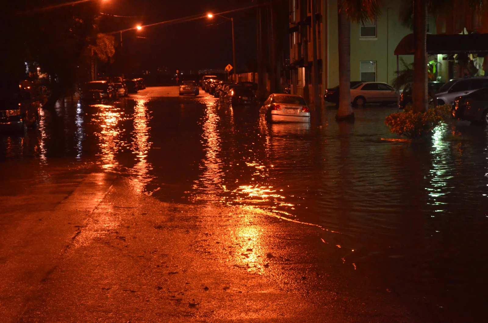A residential street flooded at high tide during a past king tide in the Miami area.
