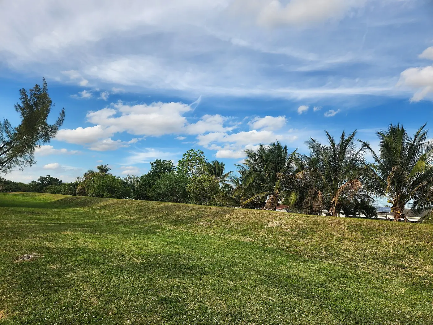 The grassy former Florida East Coast Railway corridor that is planned to become the Ludlam Trail.