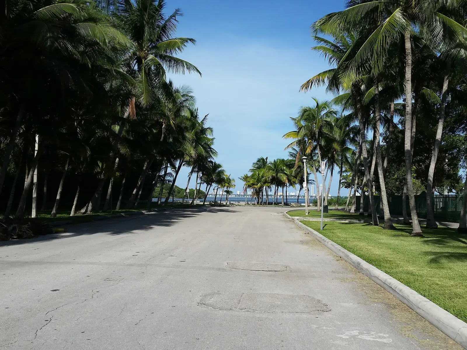A tree-lined road in Morningside, in Miami's Upper Eastside