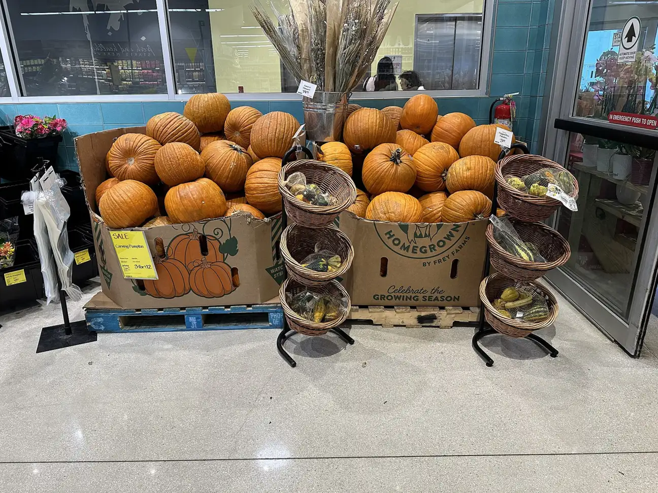 Pumpkins for sale at a grocery store in downtown Miami at Halloween.
